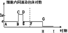 深海熱泉生態系統中的硫細菌角色分析