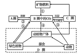 關(guān)于河?xùn)|鹽池“南風(fēng)一吹，隔宿成鹽”的氣象成因解析